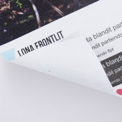 Lona profesional FR para espacios interiores